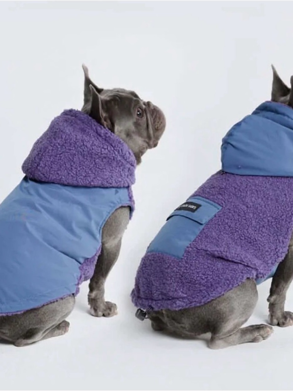 Cozy Purple & Blue Sherpa Dog Coat - Warm Winter Jacket for Dogs by spark paws